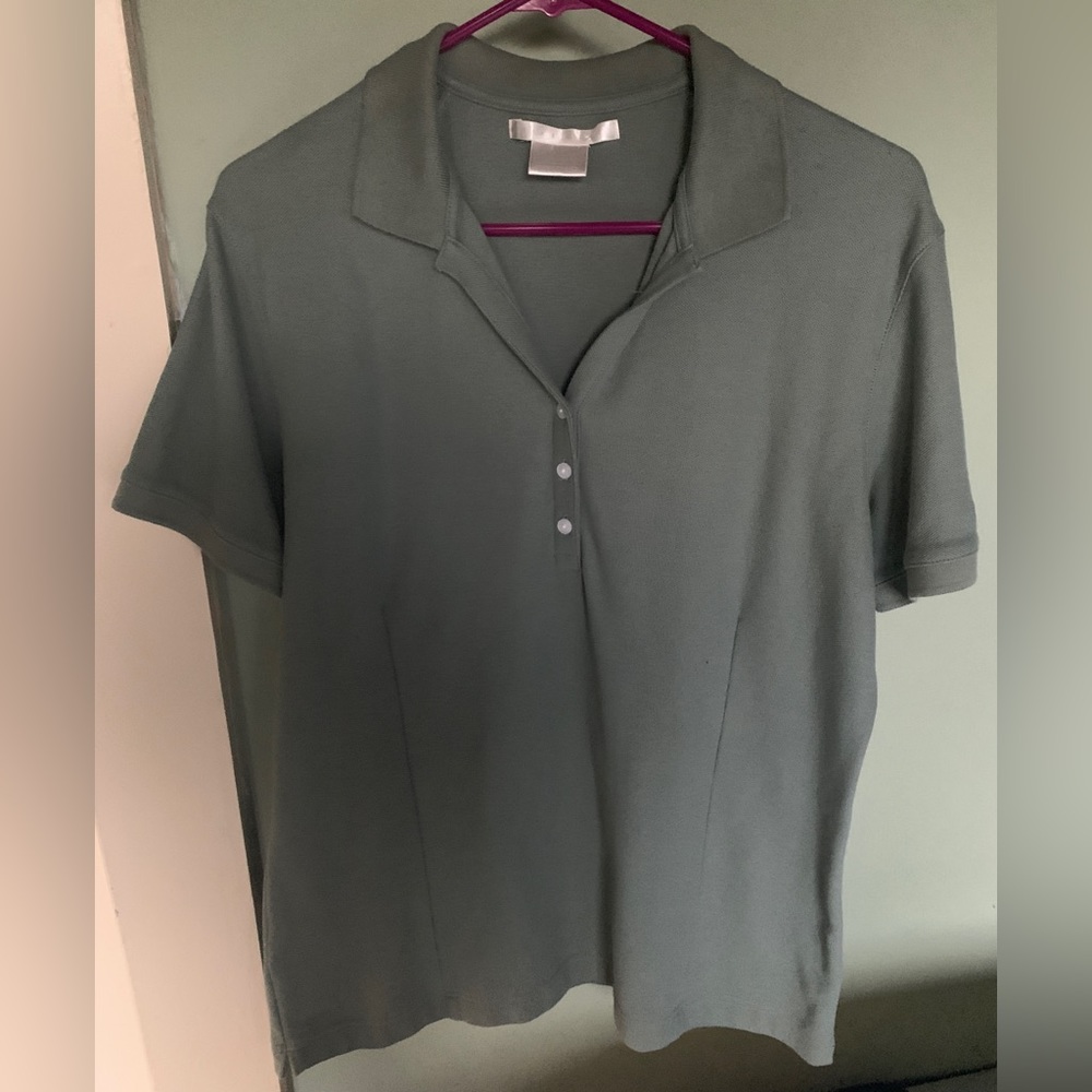 Nike Golf Polo Sage Green size XL EUC